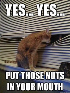 Peeping Tomcat