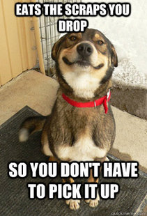 Good Dog Greg
