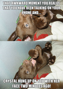 Puppy Phone