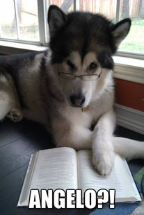 Condescending Literary Pun Dog