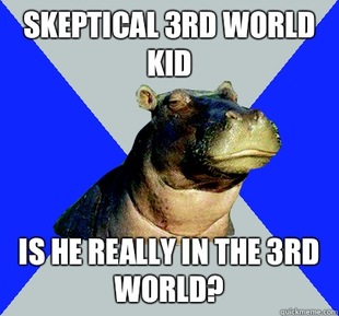 Skeptical Hippo