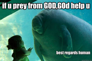 Overlord Manatee