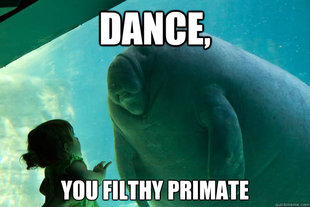 Overlord Manatee