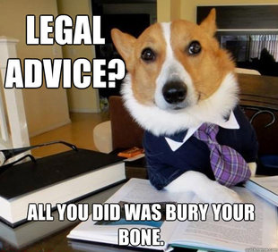 Lawyer Dog