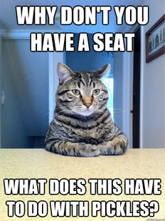 Chris Hansen Cat