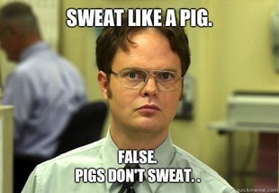 Dwight