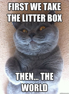 Evil Cat