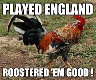 Red Team Rooster