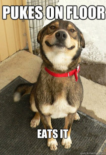 Good Dog Greg