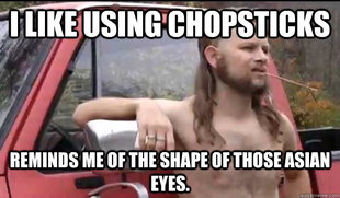 Almost Politically Correct Redneck