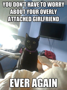 overly attached cat