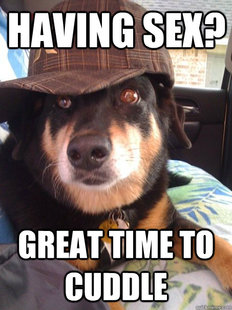 Scumbag Dog