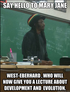 Rasta Science Teacher