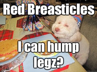 Stoned Birthday Dog
