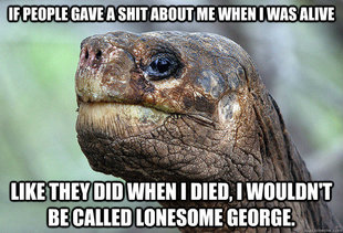 Lonesome George