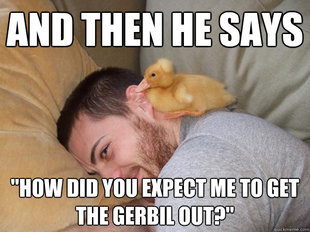 Punchline Duck