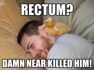 Punchline Duck