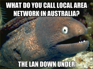 Bad Joke Eel