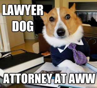 Lawyer Dog
