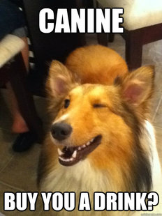 Player Dog