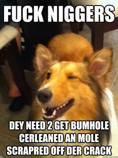 implying dog
