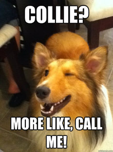implying dog
