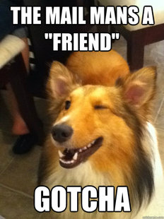 implying dog