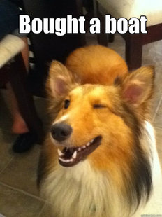 implying dog