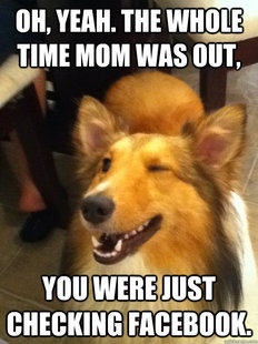 implying dog