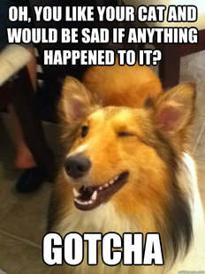 implying dog