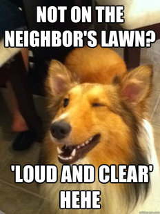 implying dog