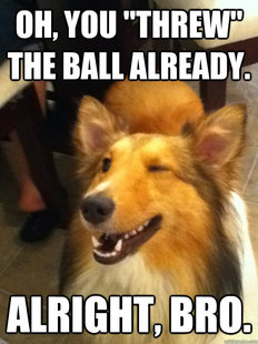 implying dog