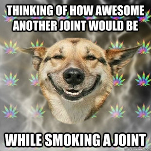 Stoner Dog