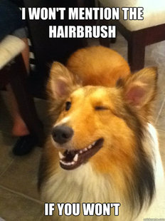 implying dog