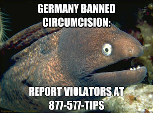 Bad Joke Eel