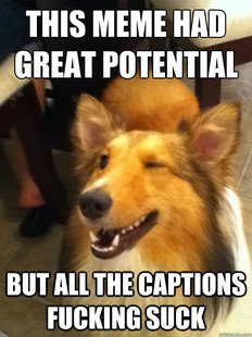 implying dog