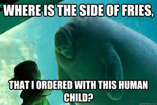 Overlord Manatee