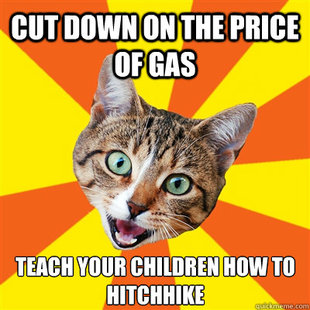 Bad Advice Cat