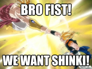 Brofist