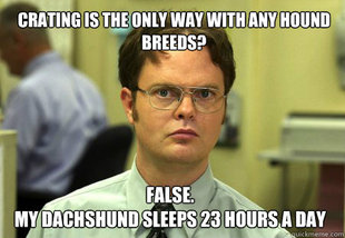 Dwight