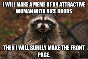 Evil Plotting Raccoon