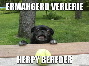 Berks Dog
