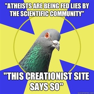 Religion Pigeon
