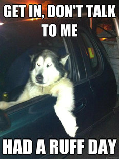 Mean Dog