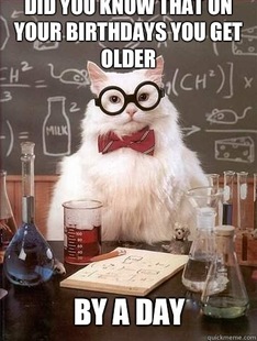 Chemistry Cat