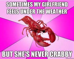 Long-term relationship Lobster