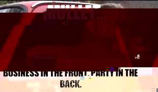 Almost Politically Correct Redneck