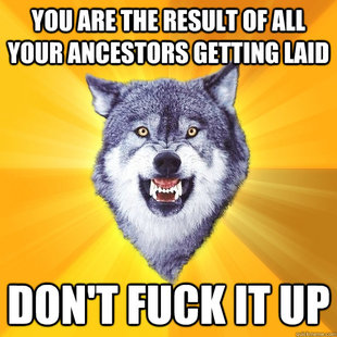 Courage Wolf