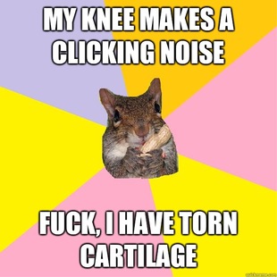 Hypochondriac Squirrel