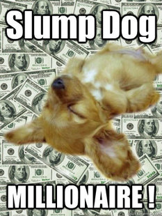 Slump Dog MILLIONAIRE !
